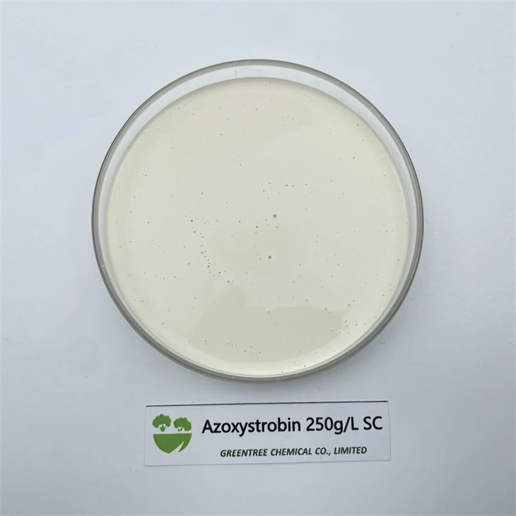 Azoksistrobin 250 250g/l Sc Mantar İlacı CAS NO. 131860-33-8