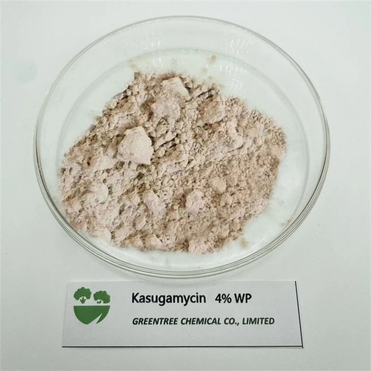 C14H25N3O9 Tarım Kimyasalları Mantar ilacı Kasugamisin %4 WP Fiyatı