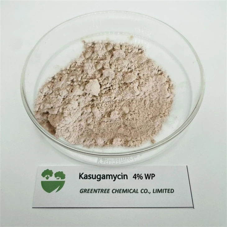 C14H25N3O9 Agrochemicals Fungicide Products Kasugamycin 4% WP in China