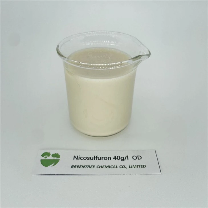 C15H18N6O6S Nicosulfuron 40 G/L OD Yabani Otları Öldürür Herbisit