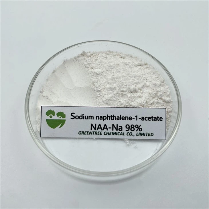 CAS NO. 61-31-4 98% Auxin Alpha NA-NAA 1-Naphthaleneacetic Acid Sodium Salt