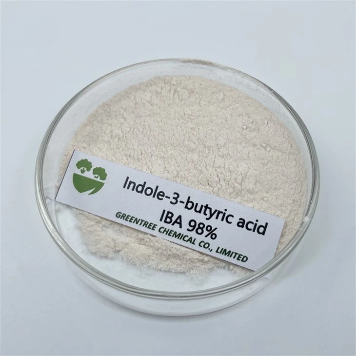 C12H13NO2 Iba Fitokimyasal Büyüme Düzenleyici İndol-3-Butirik Asit CAS 133-32-4