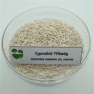 C14H15N3 Mantar ilacı Cyprodinil %75 Wdg Bakterisit