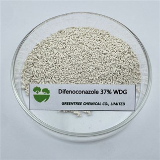 CAS NUMARASI. 119446-68-3 Mantar ilacı yüzde 37 wdg yüzde 60 Wdg Difenoconazole Ürünleri