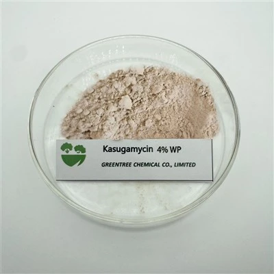 CAS NUMARASI. 6980-18-3 Kasugamisin %4 WP Tozu C19H18ClN3O4